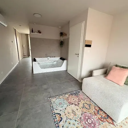 Maison Muguet 1 Spa-parking-colmar Prázdninový dům *