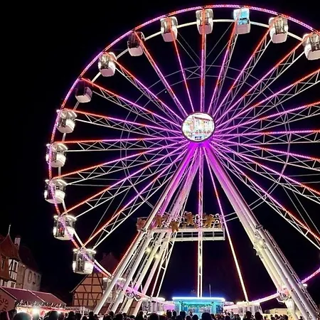 Maison Muguet 1 Spa-parking-colmar Prázdninový dům